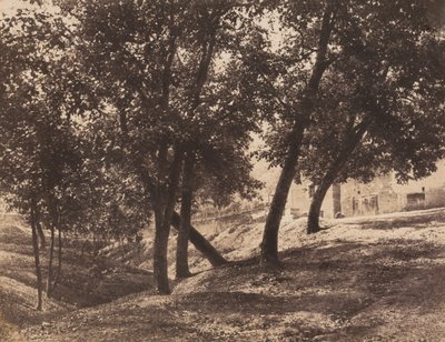 Trees, c. 1855 by André Giroux