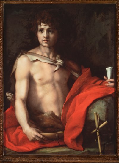 Saint John the Baptist by Andrea del Sarto