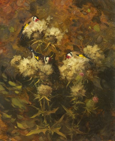 Goldfinches Feeding by Andrew Allan