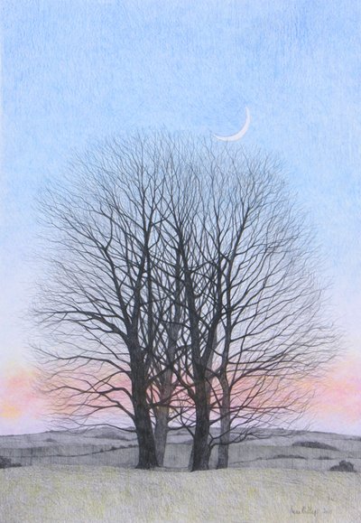 New Moon, 2011 by Anna Phillips