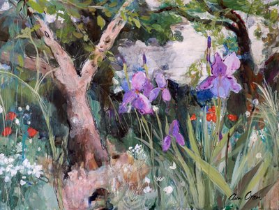 Mediterranean Garden with Irises by Ann Oram