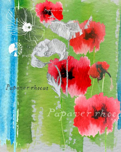 Poppy by Anna Platts