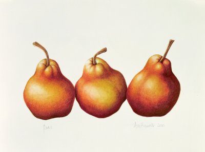 Pears, 2000 by Annabel Barrett