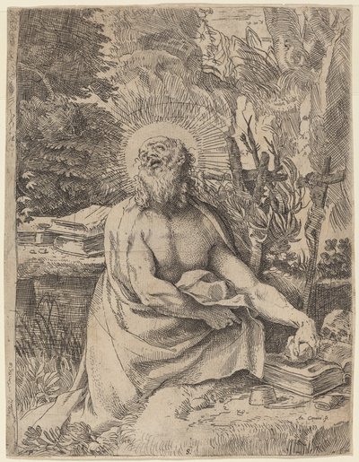 Saint Jerome in the Wilderness by Annibale Carracci