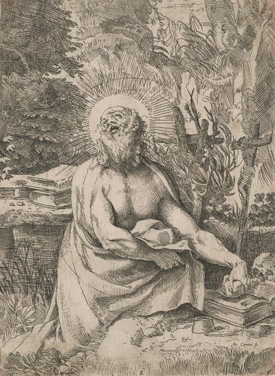 Saint Jerome in the Wilderness by Annibale Carracci