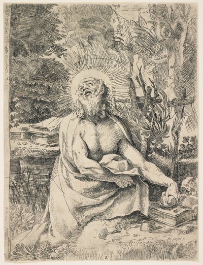 Saint Jerome in the Wilderness by Annibale Carracci