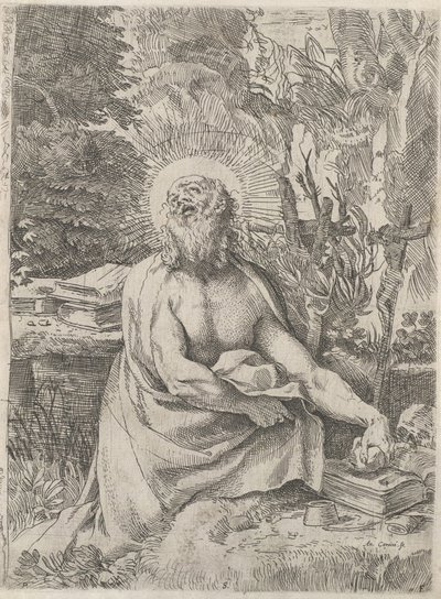 Saint Jerome in the Wilderness by Annibale Carracci