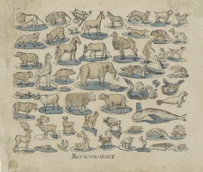 Animals (title on object: Natural History) by Anonymous