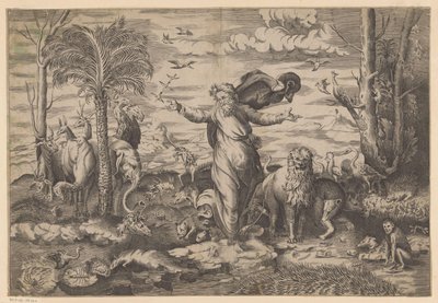 God Creates the Animals on Land by Anonymous
