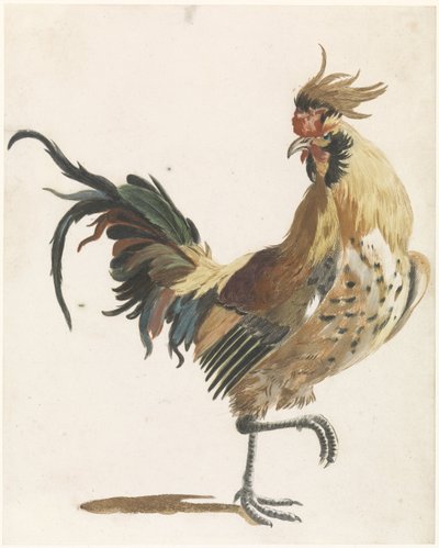 Rooster Walking to the Right (version B) by Anonymous