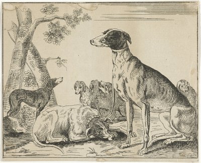 Dog Kennel by Anonymous