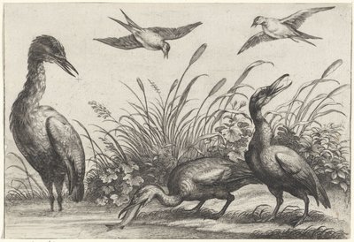 Herons and Swallows by Anonymous