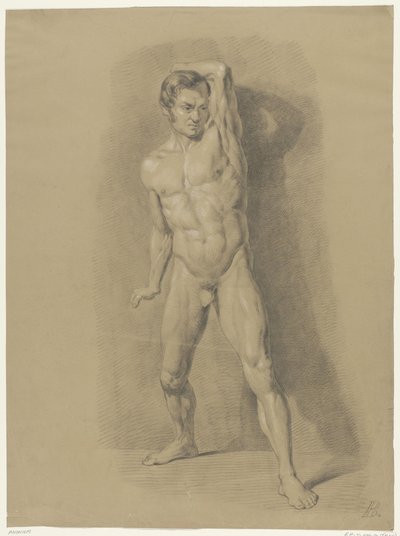 Standing Male Nude, Front View by Anonymous