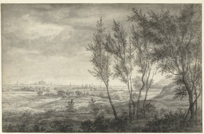 View from the Dunes of Haarlem by Anthonie Waterloo