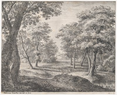 The Road Through the Woods by Anthonie Waterloo
