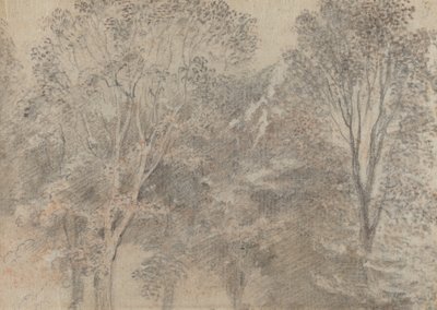 Treetops by Antoine Watteau