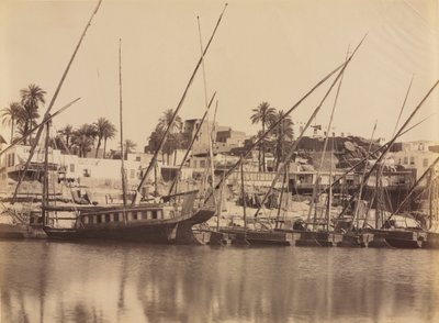 View of Aswan - Along the Nile by Antonio Beato