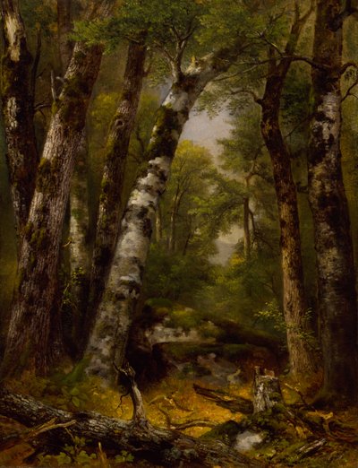 Woodland Glen by Asher Brown Durand