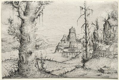 River Landscape with Large Tree at Left by Augustin Hirschvogel