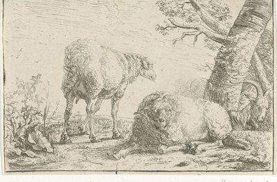 Two Sheep and a Goat by Barend Graat
