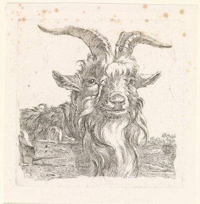 Head of a Goat by Barend Hendrik Thier