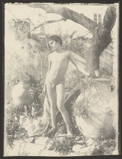 Nude Youth in Garden by Baron Wilhelm von Gloeden