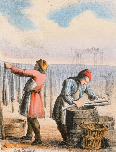 Cod Curing by Benjamin Waterhouse Hawkins