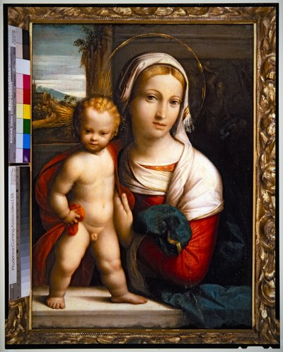 Virgin and Child by Benvenuto Tisi da Garofalo