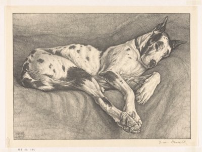 Sleeping Dog by Bertha van Hasselt (signed by artist)