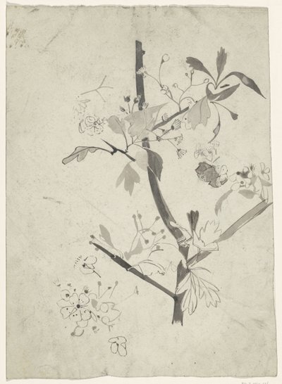 Branch with Blossom by Carel Adolph Lion Cachet