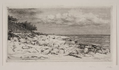 Rocky Shore by Carl Bloch