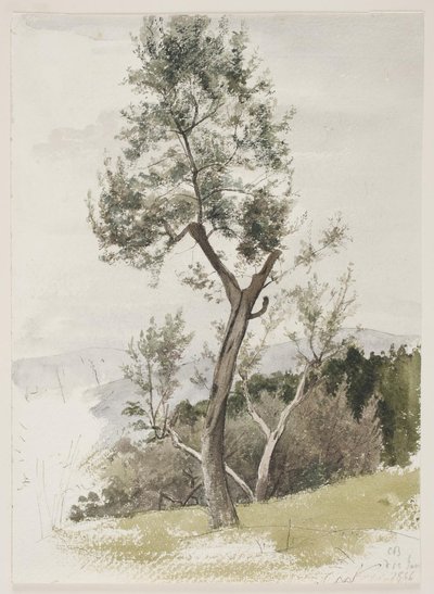 Trees on a Mountain Slope by Carl Bloch