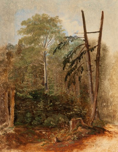 Study of a Forest Landscape by Carl Spitzweg