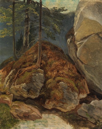 Oil Study with Moss-Covered Rock by Carl Spitzweg