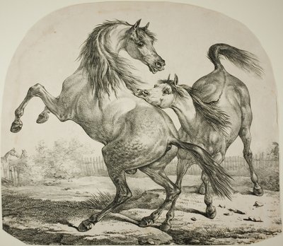 Wild Horses Fighting by Carle Vernet