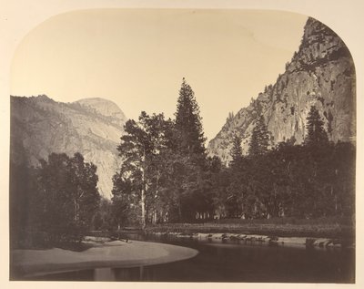 Camp Grove, Near Sentinel, Yosemite by Carleton Emmons Watkins