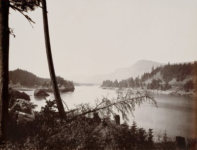 View on the Columbia, Cascades by Carleton Emmons Watkins