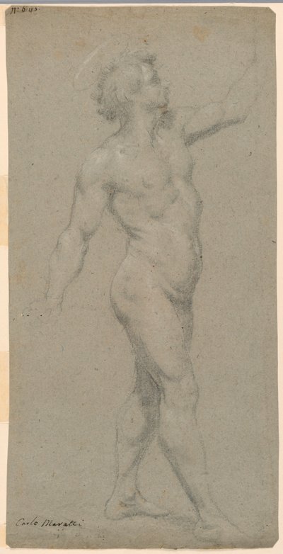 Studies of a Male Nude by Carlo Maratti