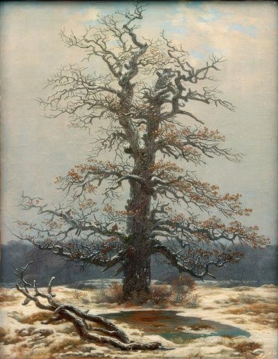 Oak in the Snow by Caspar David Friedrich