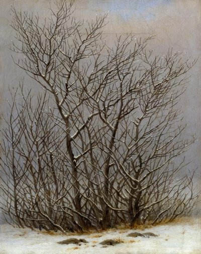 Bushes in the Snow by Caspar David Friedrich