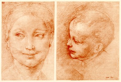 Head Studies by Cesare da Sesto