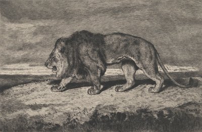 Lion walking by Charles Courtry