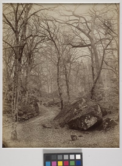 Fontainebleau by Charles Victor Famin