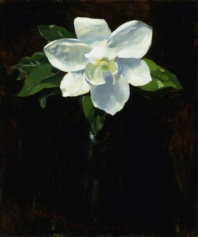 Magnolia, 1895 by Charles Walter Stetson