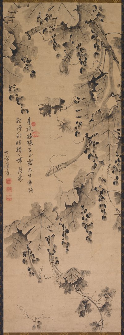 Grapevine by China, Qing dynasty