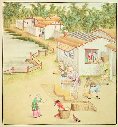 Chinese Peasants Sifting Rice by Chinese School