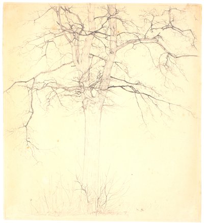 Linden Tree by the Path of Love by Christen Købke
