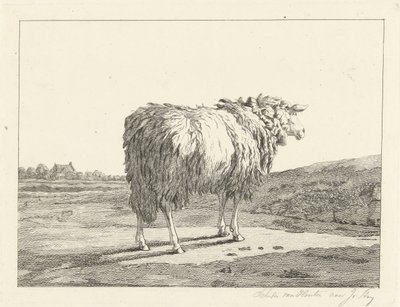 Sheep in a Landscape by Christiaan Godfried Schutze van Houten