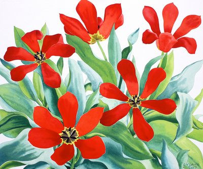 Madame Lefeber Tulips 2 by Christopher Ryland