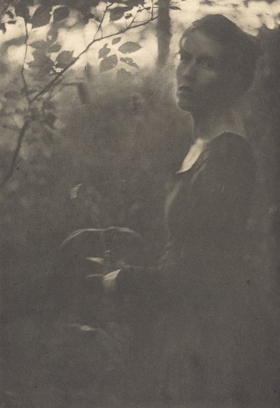 Edge of the Woods, Evening, 1900 by Clarence H White